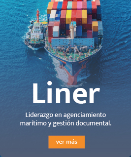 card_liner_2